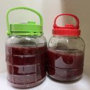 담산농장 | [산딸기주만들기] 왕초보 산딸기주 만들기