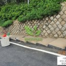 정원여자중학교 이미지