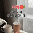 햇살을 찻잔에 담아 이미지