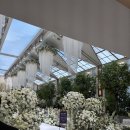 더봄호텔 | 신도림 더링크호텔 웨딩 뷔페 후기