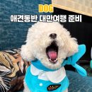 러브펫츠 | 애견동반 대만여행 강아지랑 대만 준비과정 계류 광견병 서류 등등