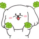 쌈바찹쌀닭강정