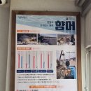 대한회센타 | 창원 향어회 맛집은 여기, 소답동 한일회센타 포장 후기