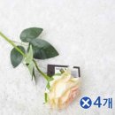 색조화_