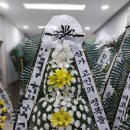 새통영병원장례식장 이미지