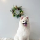 미용해·독 이미지