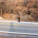 군자 사슴농원 이미지