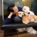 형국농장 이미지