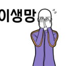 미핑