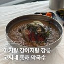 강릉 애견동반 맛집 고씨네 동해막국수 아기랑 식당 방문 후기
