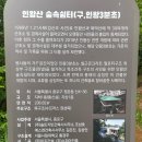 더 숲Ⅱ 이미지