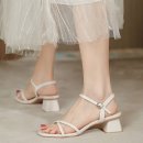 A157 이미지