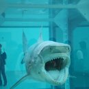 (주)바이오숨 | 국립현대미술관 데미안 허스트 문화의날 무료 관람 후기