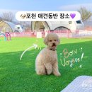 다시가고싶은 이미지