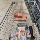 용이동 소로 3-365 | 체코/오스트리아/헝가리 동유럽 7박9일 여행 일정 경비 항공권 호텔