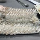 영양횟집