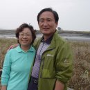 표선교회 이미지