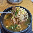 울산 중구 병영 국밥 맛집 :: 울산할매국밥 울산본점 - 내돈내산 아침 해장 찐후기