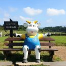 법도목장 이미지