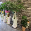 이글스크린골프 이미지