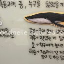 시넬 이미지