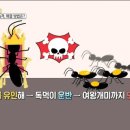 푸른솔방역