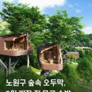 트리하우스 이미지