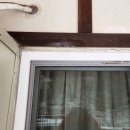 평창현대스위트빌리지 이미지