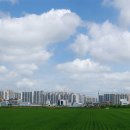 맑은하늘 이미지