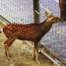 서울숲공원 관리사무소 이미지