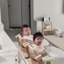 딸 쌍둥이 200일 육아하면서 사용한 아기 아이템들 리얼 생생한 후기 (추천/비추천, 가격, 중고, 당근)