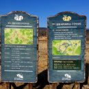 창평남극루 | 월봉산 상월정上月亭