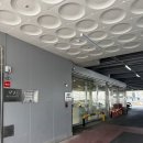 11305-9-170-1 | 현대자동차 드라이빙라운지 수원 아이오닉9 캘리그래피 시승후기