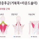킹 휘트니스 이미지