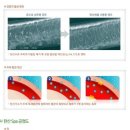 오드리 애견미용실 이미지