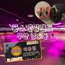 게임랜드 | 쿵스게임랜드 부산 남포동 놀거리 실내 데이트 추천