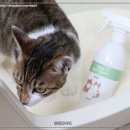고양이 화장실 모래 탈취제 아니말리 캐닢향 후기