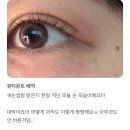 가희브로우