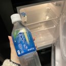 포레스트 오션(Forest Ocean)