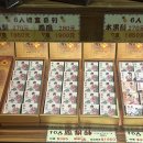 대만 타이베이 펑리수_ 태화 전통제과점 간식 기념품 구입(시먼딩 근처)