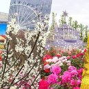 은행나무목장 이미지