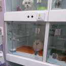 공원옆동물의료센터 이미지