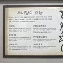 수암골추어탕&먹보곱창 네이버블로그