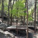 축령산자연휴양림 이미지