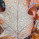 저녁나절 이미지