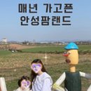 호텔마에스트로 사우나 이미지
