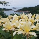 주-001-군청앞4(회) | 전북 부안 섬여행) 위도 여행 배시간 : 고슴도치섬에서 만나는 바다와 전설