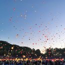 "두류공원 풍등축제" 이미지