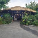 풀내음 | 평창 메밀 맛집 추천! 메밀 요리가 맛있는 ‘풀내음’ 방문 후기