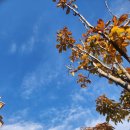 샤샤살롱 | [공지] 정관읍 살롱드케이 정관점 체험후기